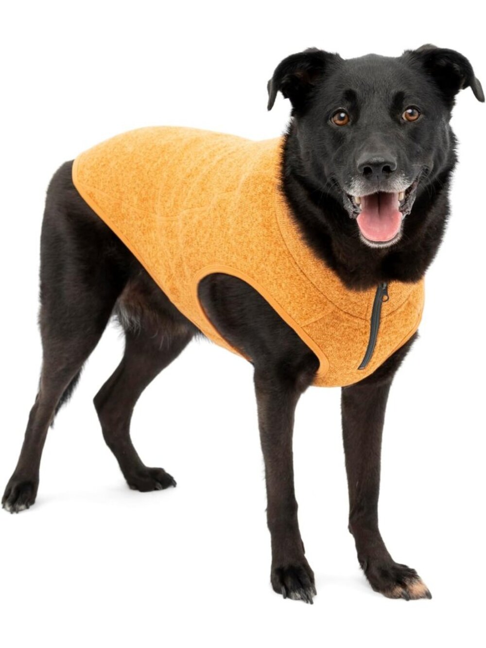 Cozy Knit Fleece Dog Sweater - Cold Weather Layer, Adjustable Neck, Harness